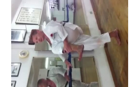 Mawashi Geri