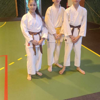 Shodan Sofia